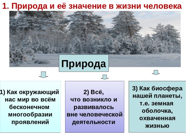 Важность природы в жизни человека