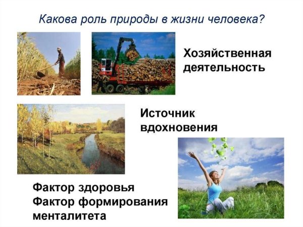 Значение природы для человека и общества