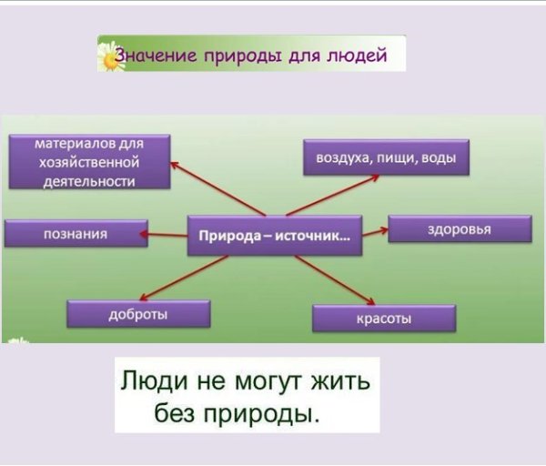 Значимость природы для человека