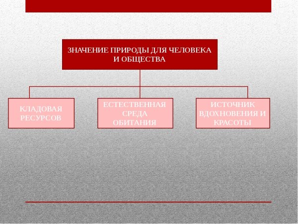 Значимость природы для человека