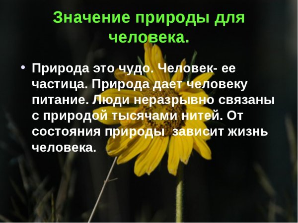 Роль природы в жизни человека