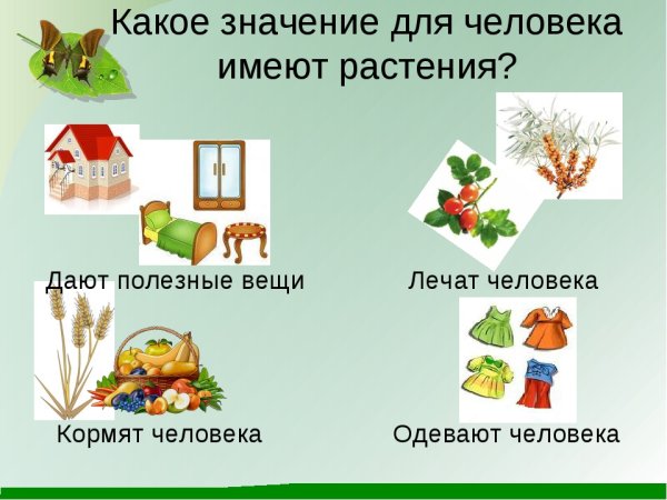Значимость природы в жизни человека