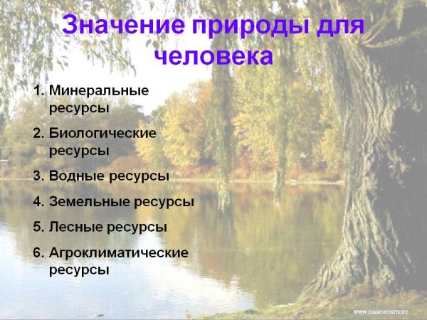 Сделано руками человека