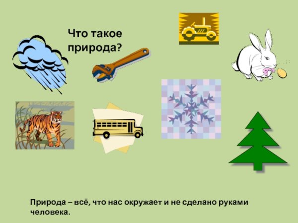Роль природы в жизни человека