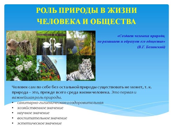 Значение растений в природе и жизни человека