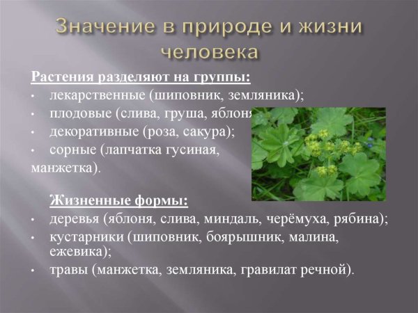 Значение природы для человека