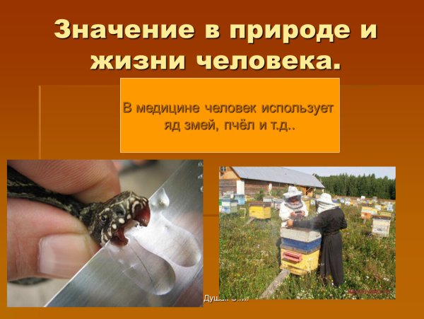 Значимость природы для человека