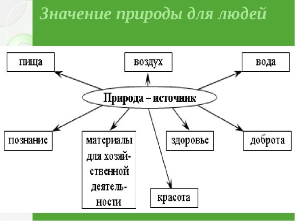 Что дает природа человеку