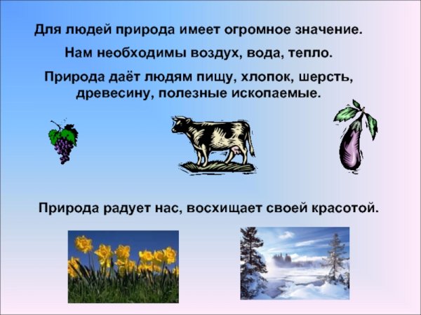 Значение природы в жизни человека