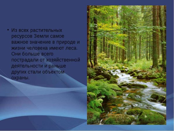 Многообразие растений и их значение в природе