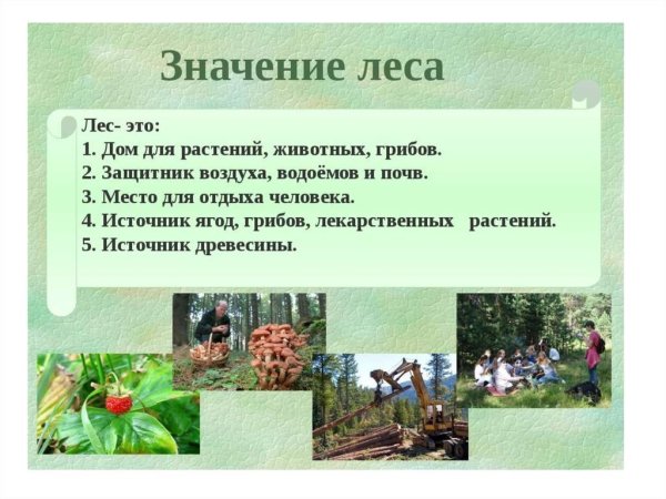 Ролт Леа в жизи челоека