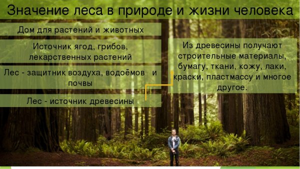 Связь человека с природой