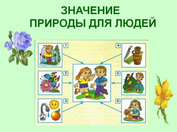 Схема что дают растения животным и человеку окружающий мир 3 класс