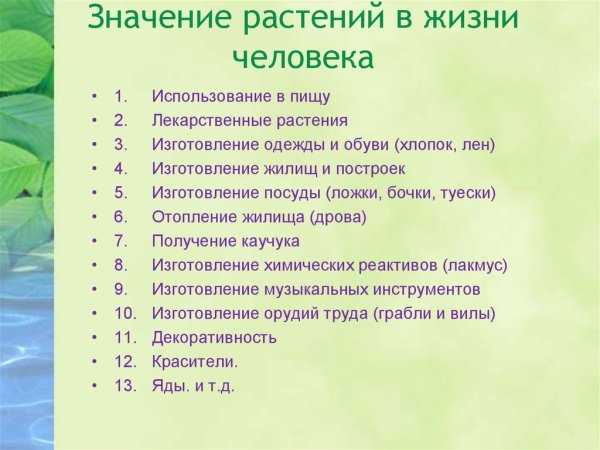 Роль растений в жизни человека