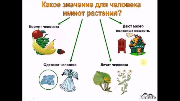 Роль в природе