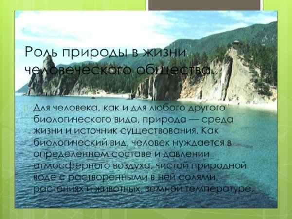 Вывод про растения