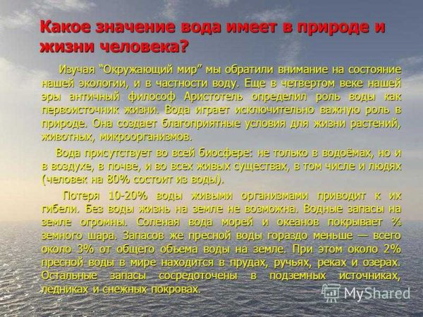 Схема что дают растения животным и человеку