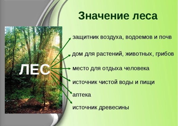 Парк Виталия Бианки