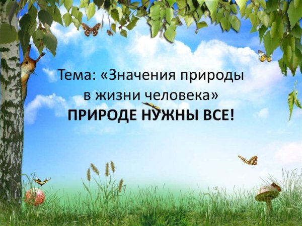 Роль животных в жизни человека