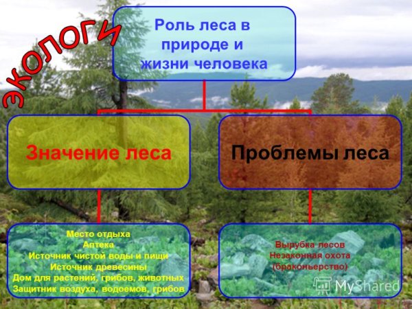 Вода и человек