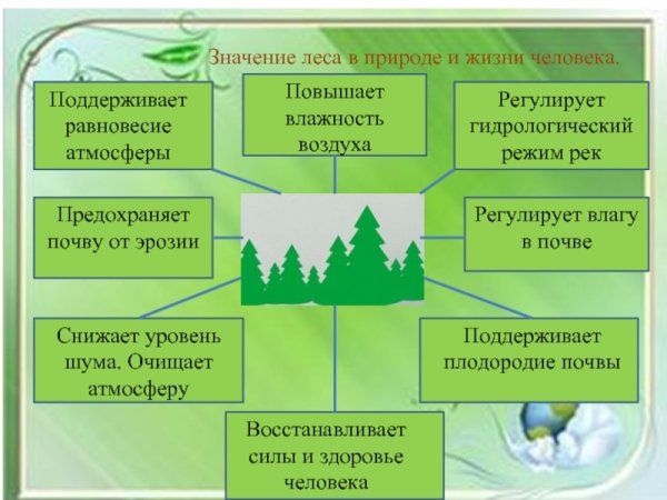 Вода в жизни человека
