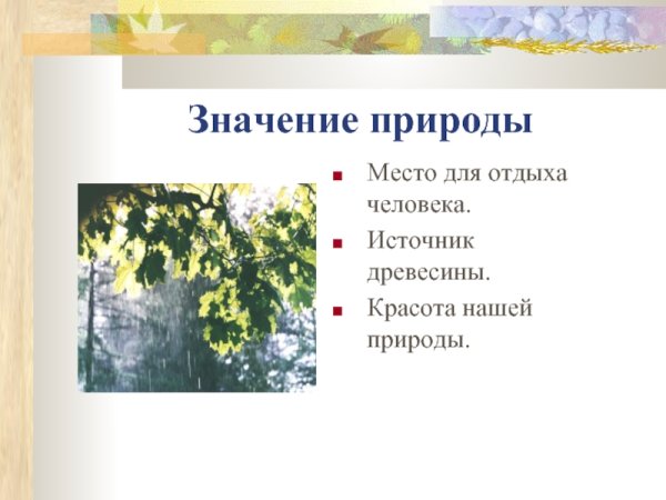 Важность воды в жизни человека
