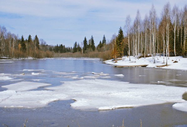 На льдине в ледоход