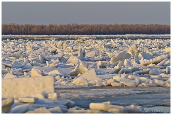 Ледоход на реке