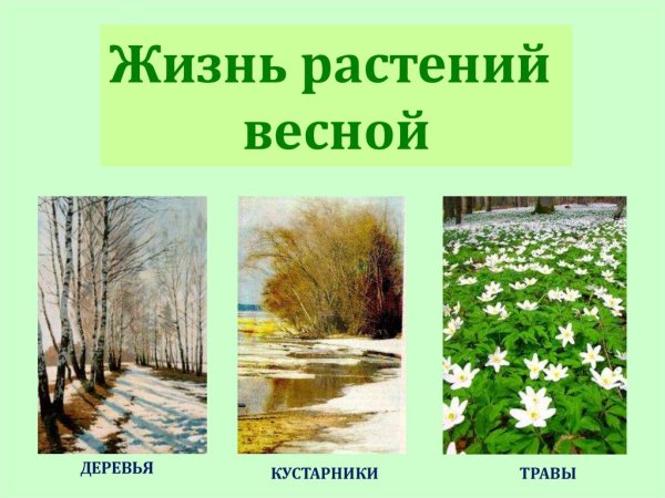 Весна изменения в природе