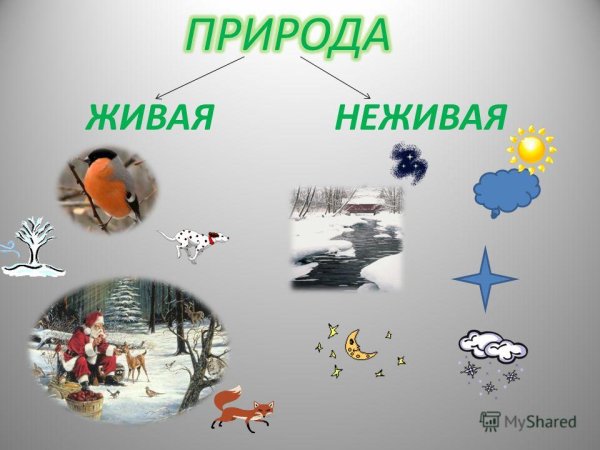 Неживая природа зимой