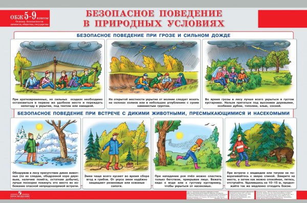 Безопасное поведение на природе