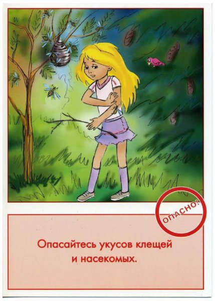 Безопасное проведение на природе