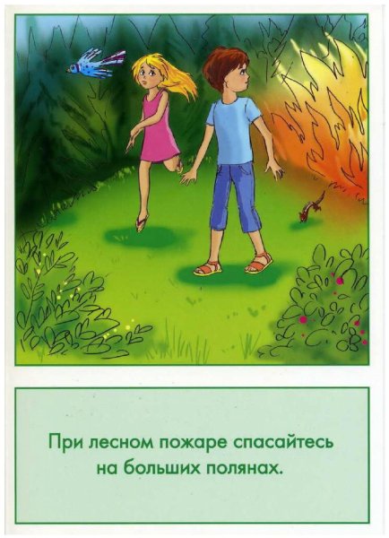 Безопасное поведение на природе