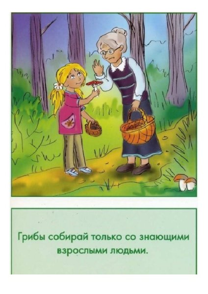 Безопасное проведение на природе