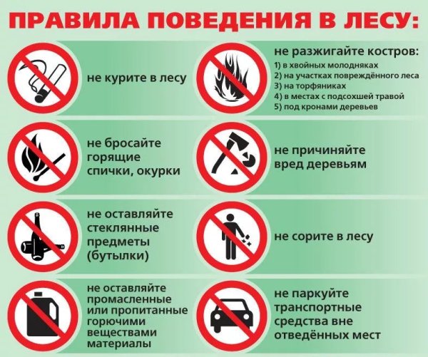 Памятка поведения в лесу