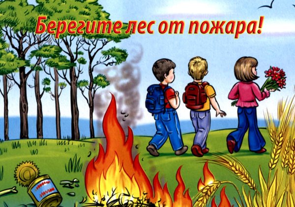 Безопасность в лесу для дошкольников