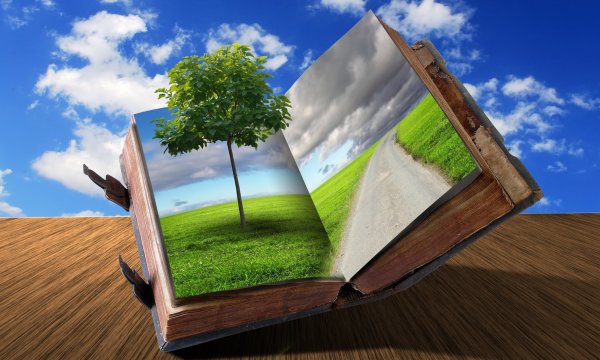 Книга природа