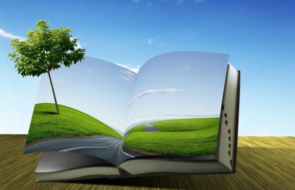 Книга природа