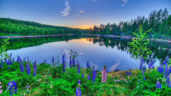 Абстракция природа