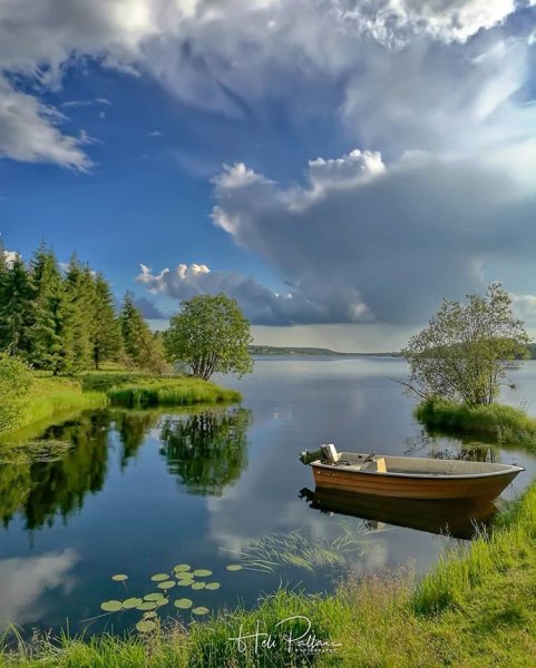 Природа в руках человека