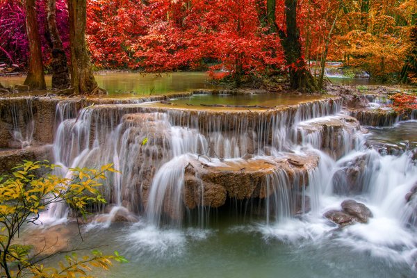 Фотообои водопад, деревья