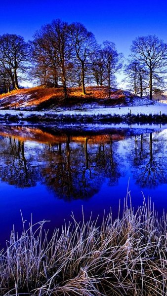 Осенняя природа
