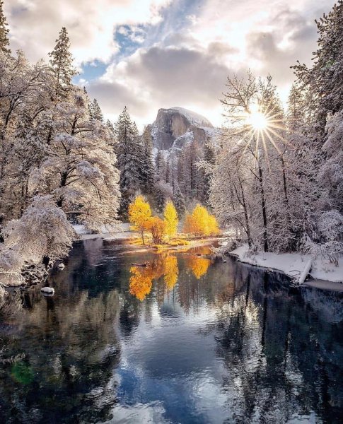 Яркая природа