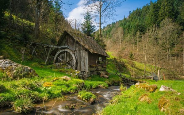 Старая природа