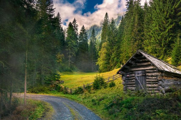 Бемер Генрих художник картины