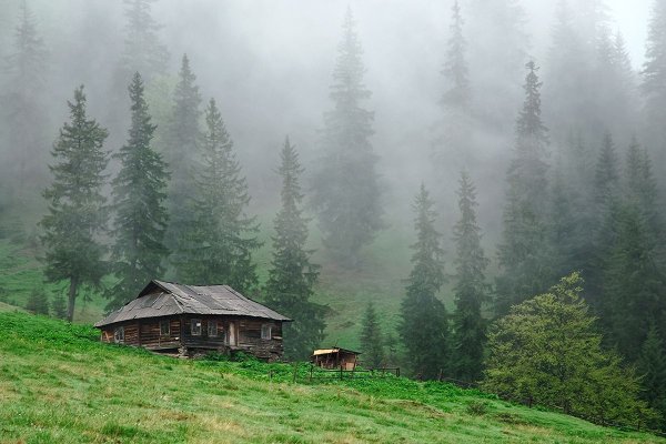 Восточный Сассекс Англия