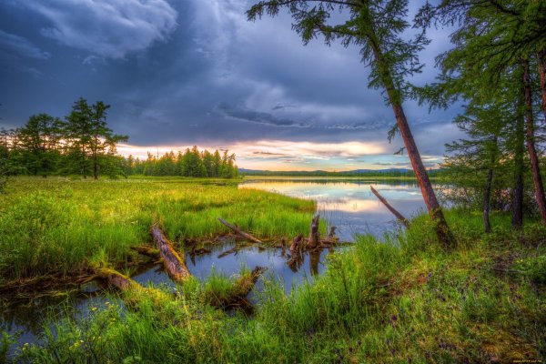 Республика Коми природа