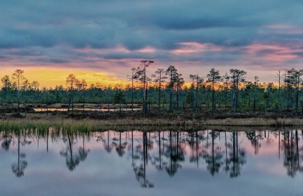 Природа ХМАО Югры