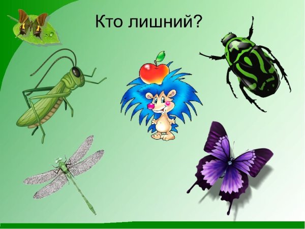 Бабочка для мальчика