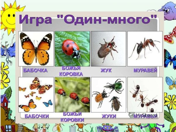 Насекомые для дошкольников